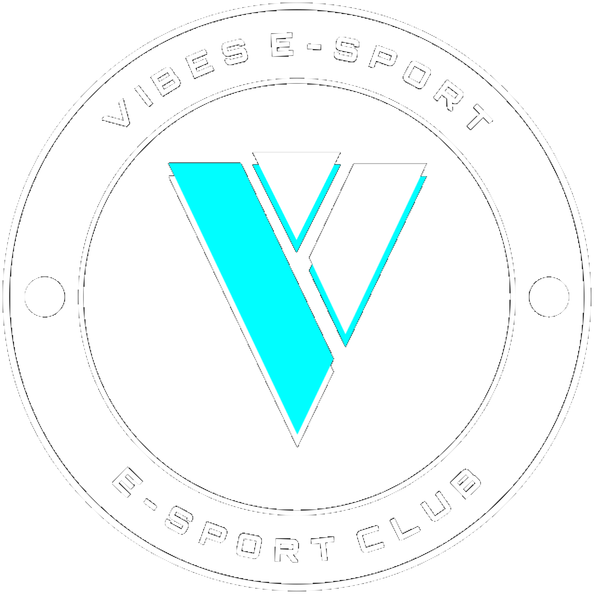 VIBES Esport