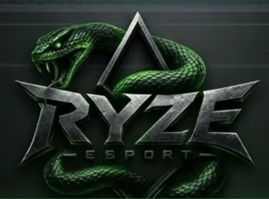 Ryze esport